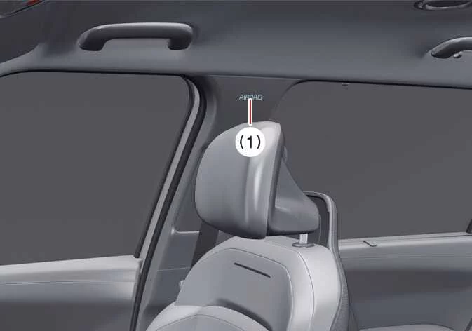 Kia Telluride left-side curtain air bag location