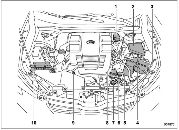 Subaru Forester. Engine compartment overview