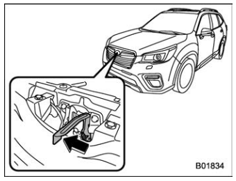 Subaru Forester. Engine hood