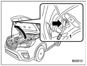 Subaru Forester. Engine hood