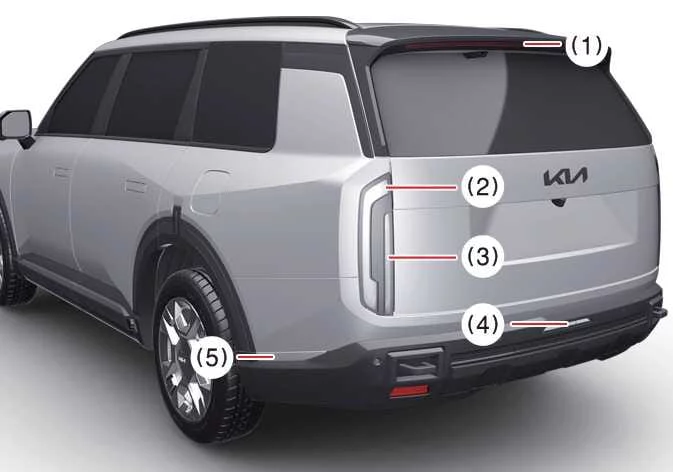 Rear taillight cluster schematic layout showing Type B configuration on the Kia Telluride
